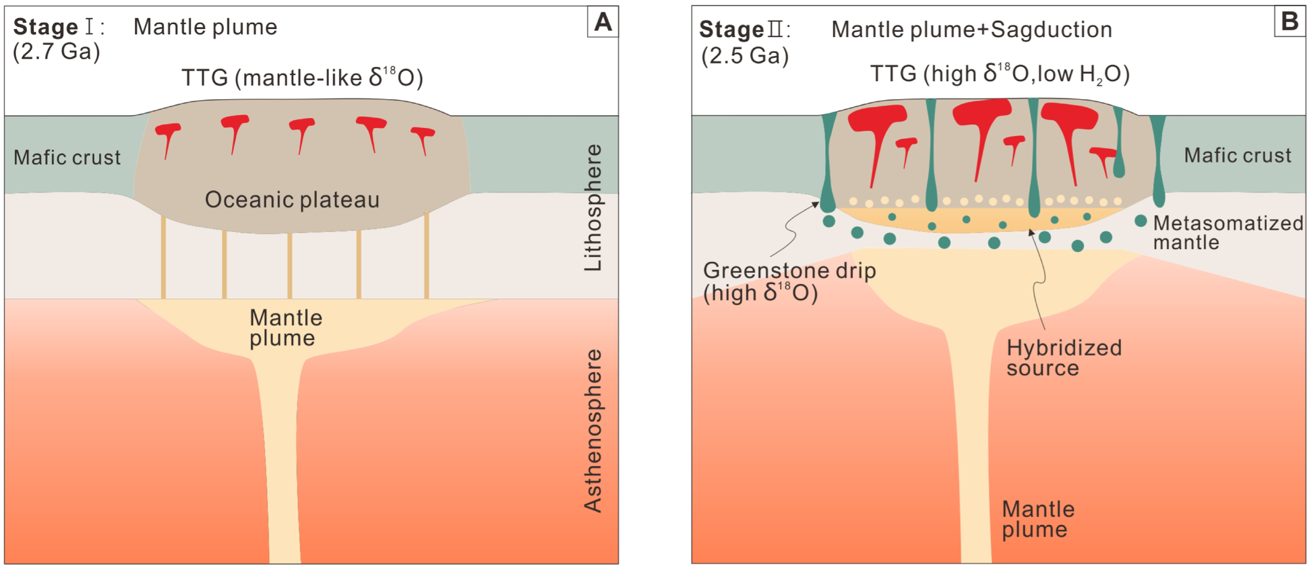 Figure 1. An illustration depicting the formation of TTGs in a two-stage mantle plume-sagduction model.  Image credit: Adapted from Zhao, D. et al. (2025). Science Advances. DOI: 10.1126/sciadv.adr9513.